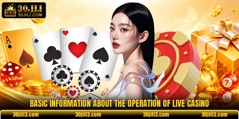 Basic information about the operation of live casino