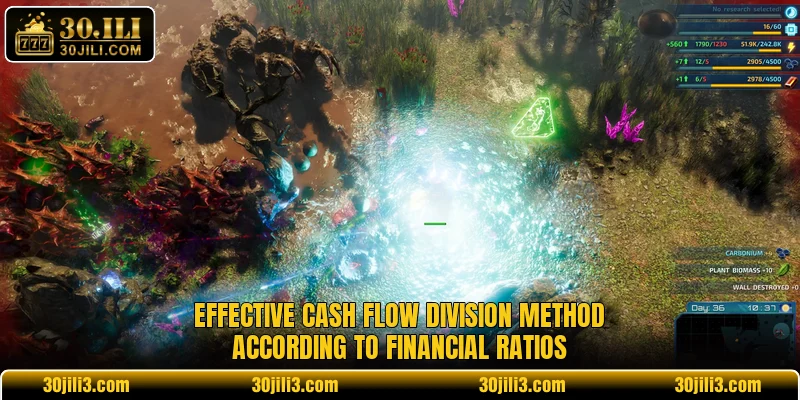 Effective cash flow division method according to financial ratios Effective cash flow division method according to financial ratios