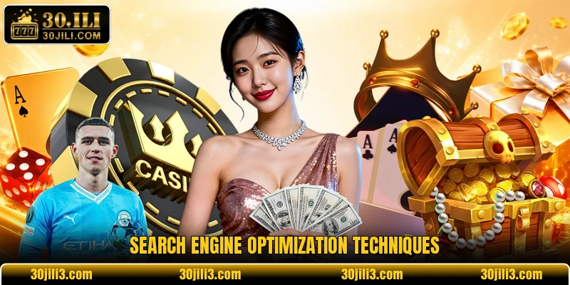 Search engine optimization techniques